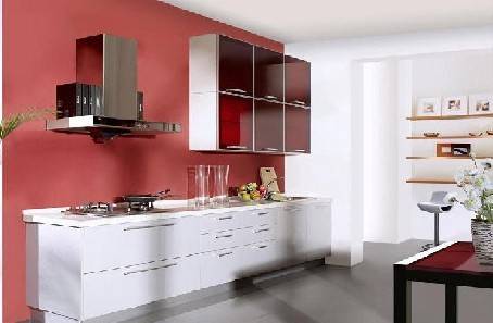 整体橱柜发展速度放缓 标准化缺失或成 绊脚石