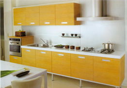 就要这种范儿 万元豪华厨房电器必看