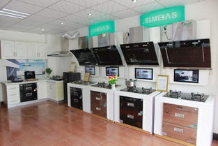 厨卫电器十大排名品牌有哪些