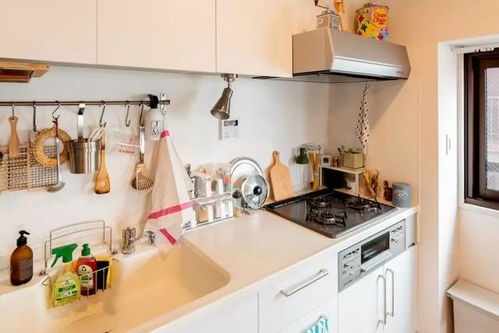 因为迷信网上的 厨房收纳清单 ,我买到了一堆中看不中用的鸡肋