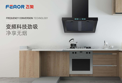 飞奥电器勇夺“中国十大健康节能厨卫品牌”大奖!